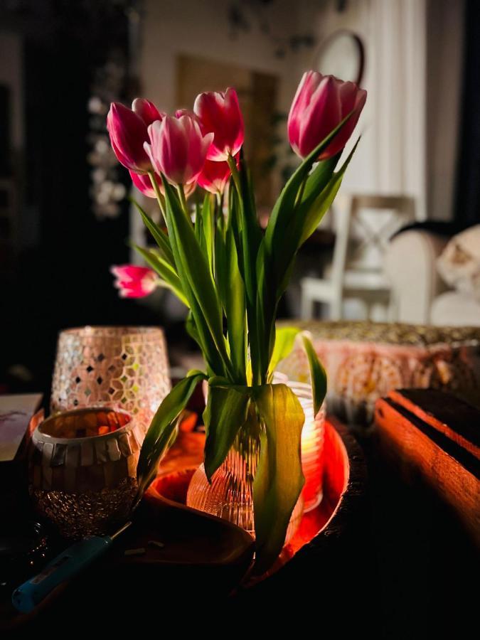 Appartamento Schlafen Im Atelier - Einzigartiges Gaestezimmer Am Ammersee Schondorf am Ammersee Esterno foto